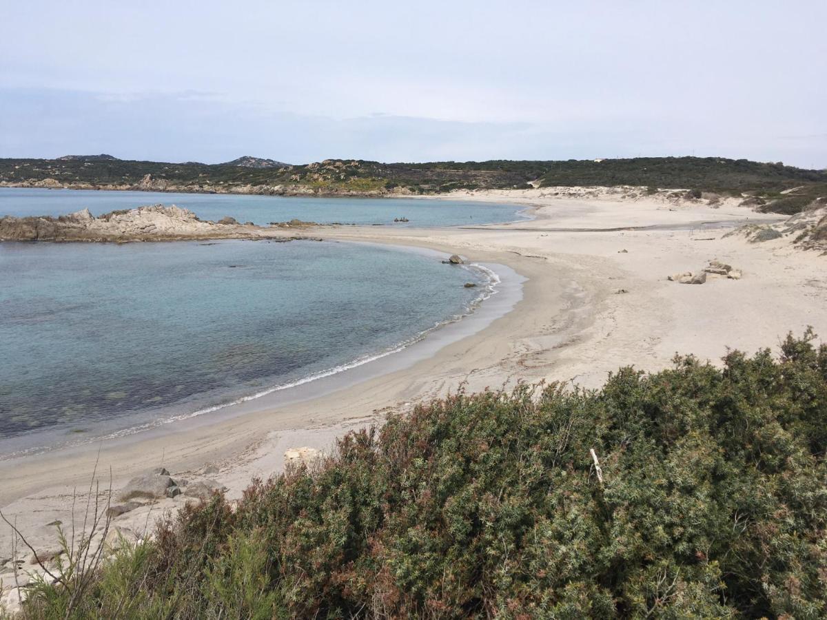 Monolocale A Rena Majore Di Gallura Zewnętrze zdjęcie
