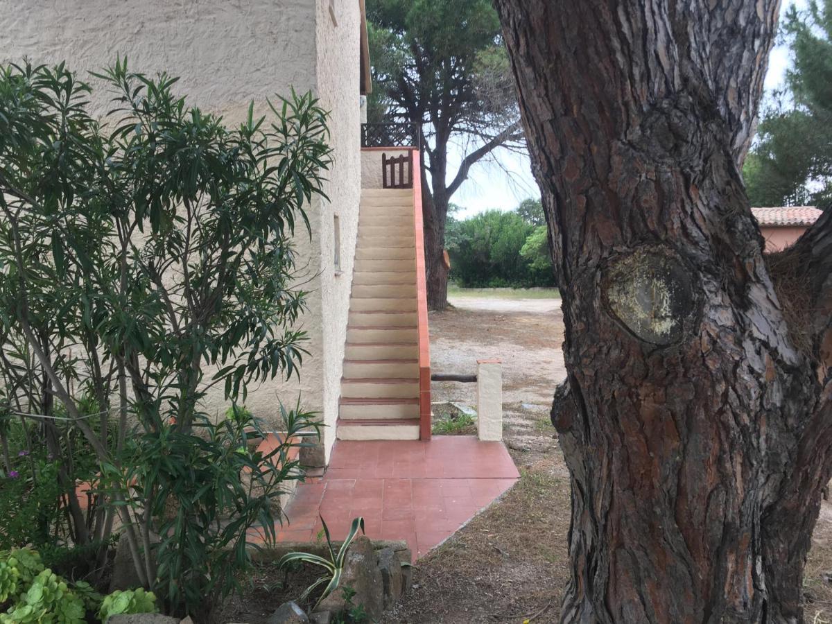 Monolocale A Rena Majore Di Gallura Zewnętrze zdjęcie