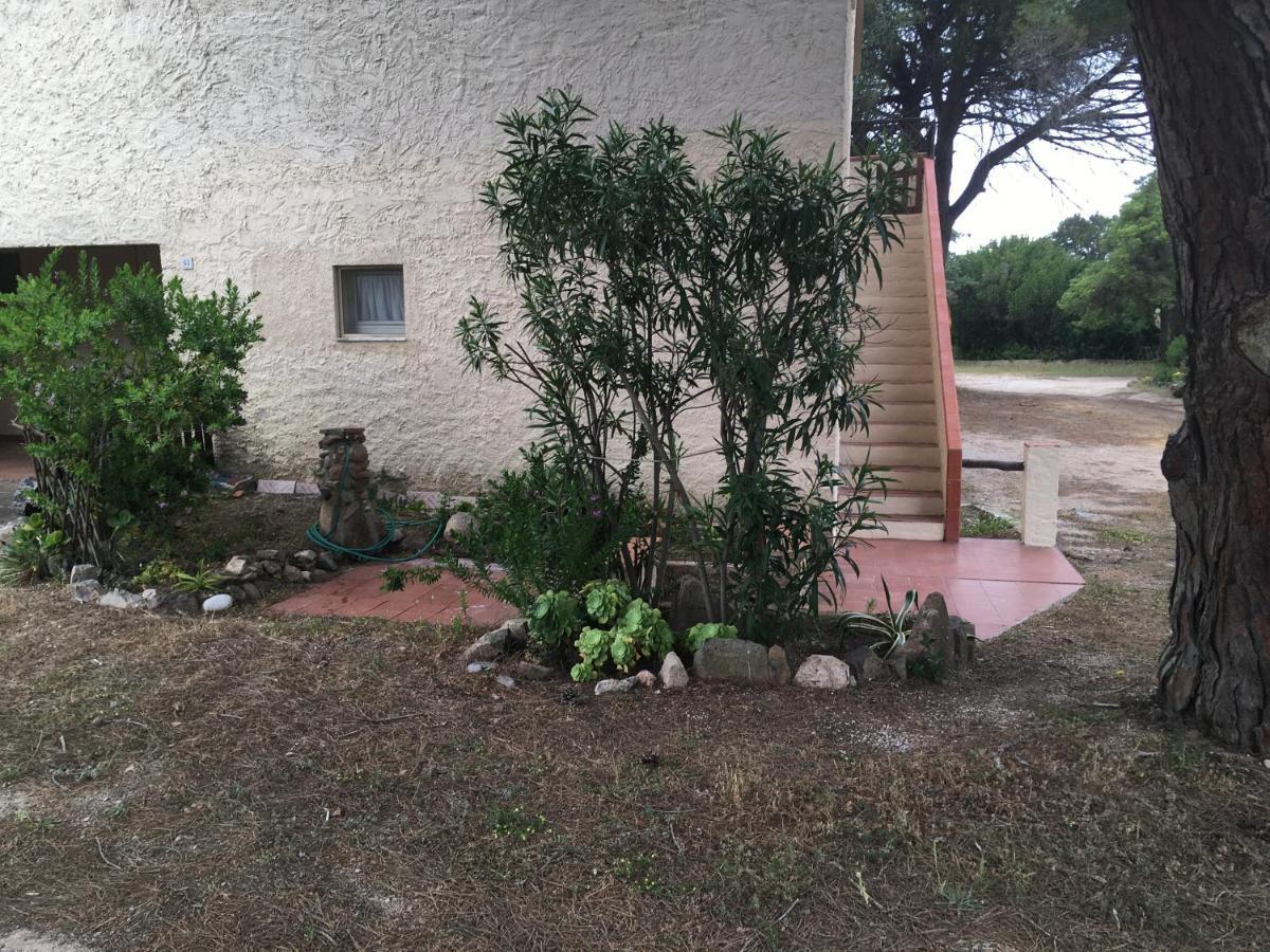 Monolocale A Rena Majore Di Gallura Zewnętrze zdjęcie