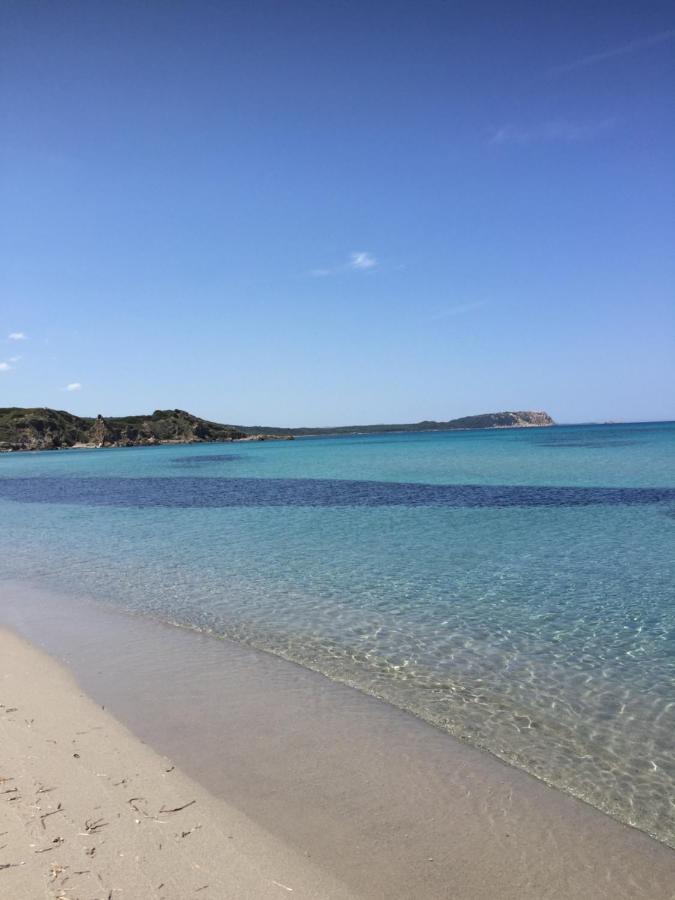 Monolocale A Rena Majore Di Gallura Zewnętrze zdjęcie